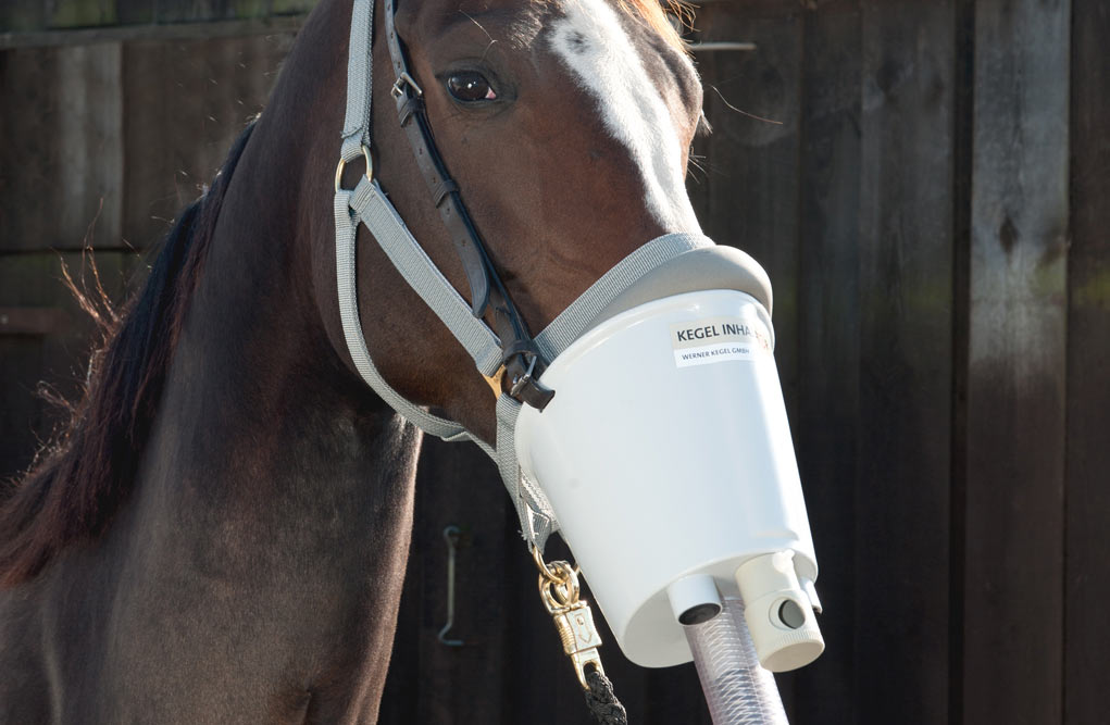 Inhalator Ultraschallvernebler Pferd